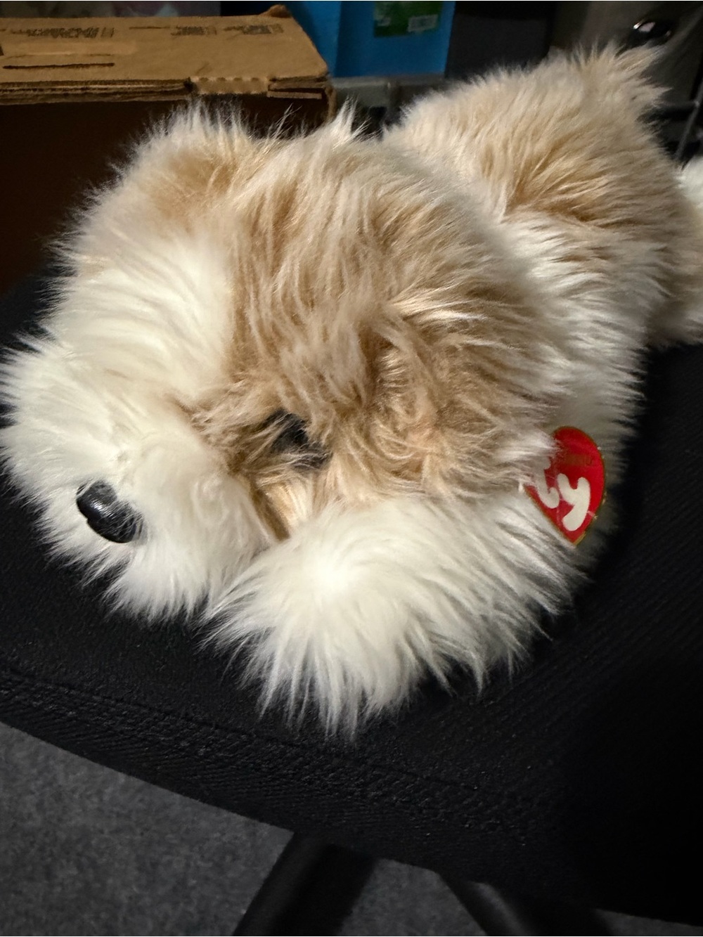 TY Plush Floppy Dog in Cream and Tan